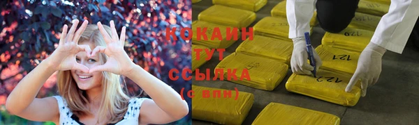 трава Богданович